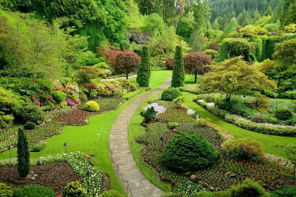 ambitious-landscaping-services